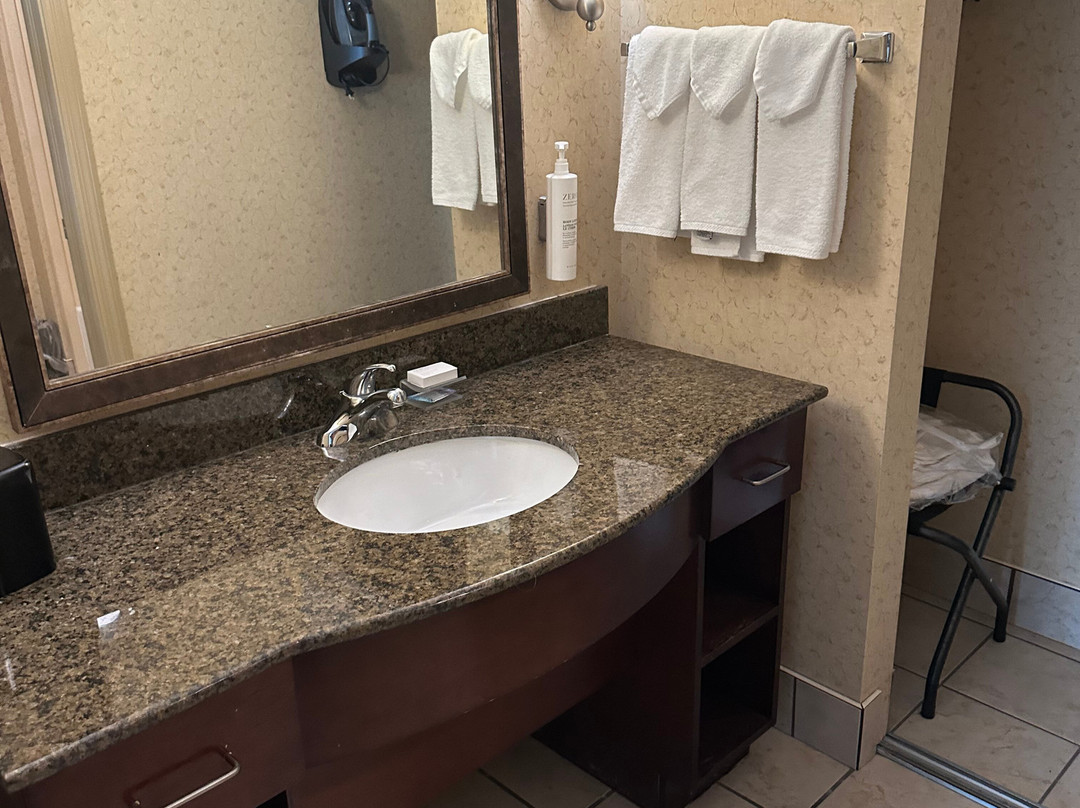 Homewood Suites by Hilton Binghamton/Vestal, NY主图