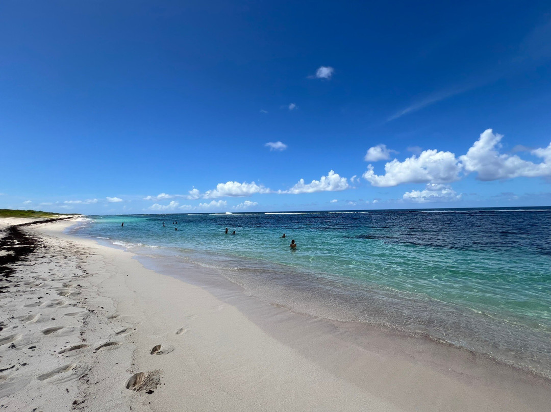 Plage Grande Anse Des Salines-Saint Francois必去景点