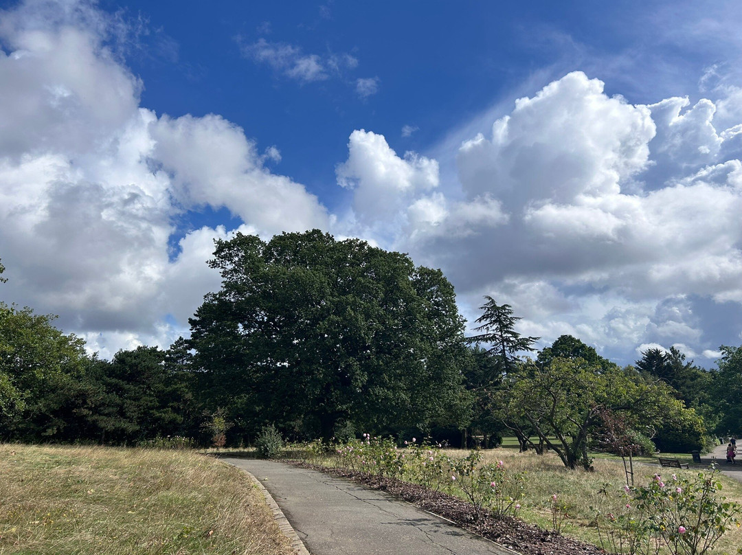 Roundwood Park景点图片