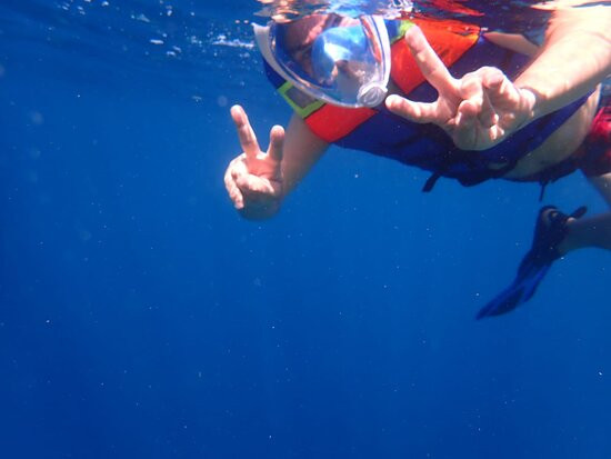 Snorkeling Diving Menjangan景点图片