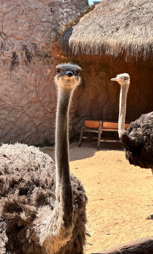 Aquário Natal-Extremoz必去景点