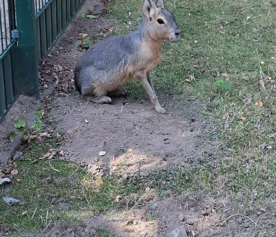 Tierpark Eilenburg-Eilenburg必去景点