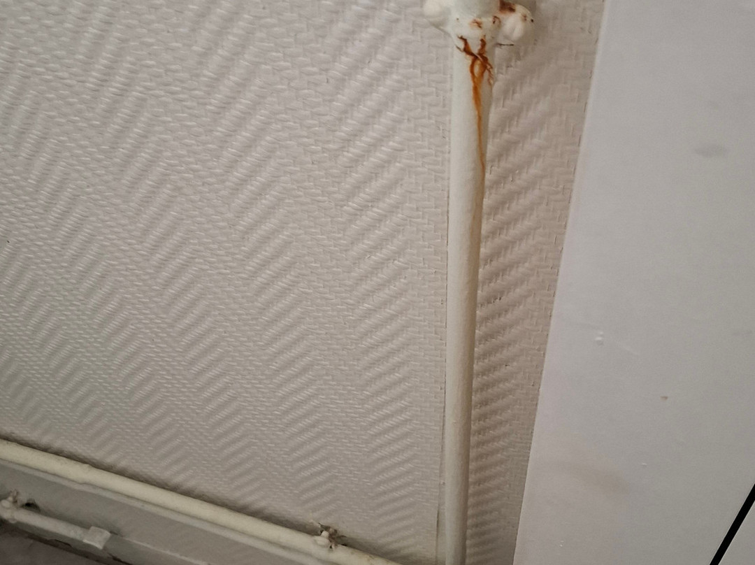 Hotel De Bretagne主图