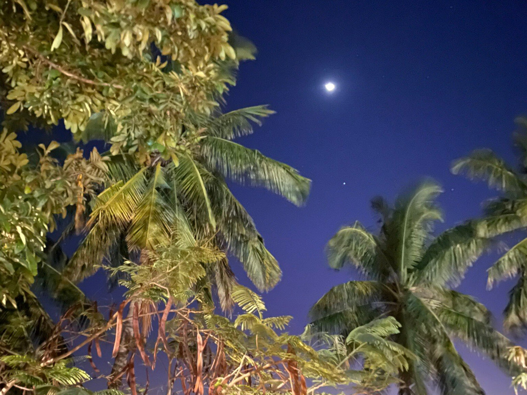 Praia do Tofo-托佛必去景点