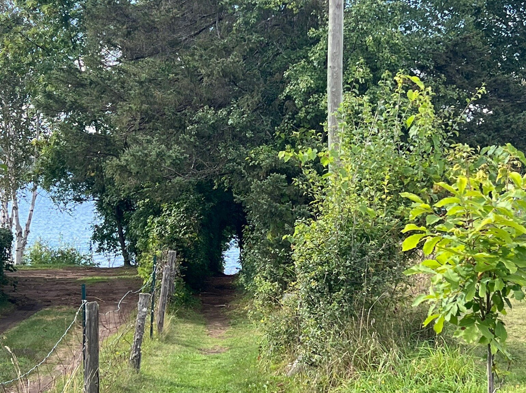 Great Canadian Trails-渥太华必去景点