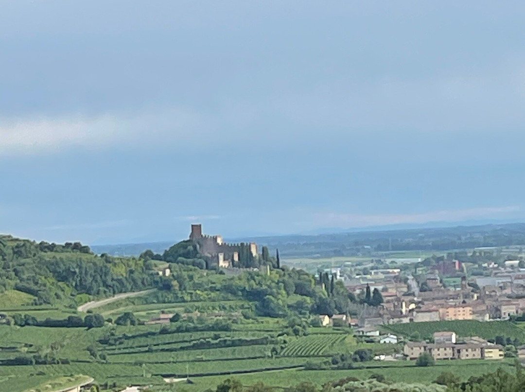 Agriturismo Libero主图