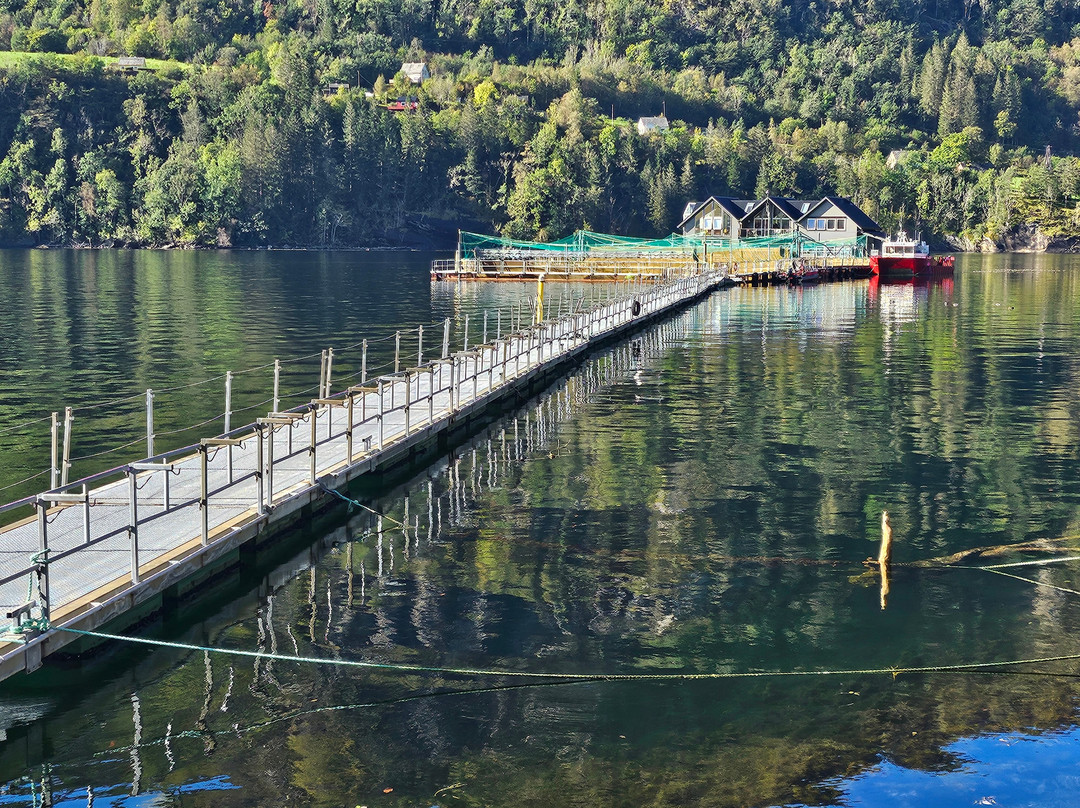 Hardanger Akvasenter-Steinsto必去景点