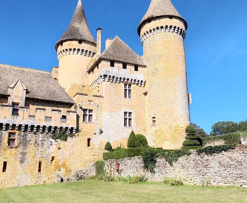 Chateau de Puymartin景点图片