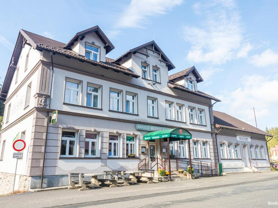 Hotel Seifert Nové Hamry主图