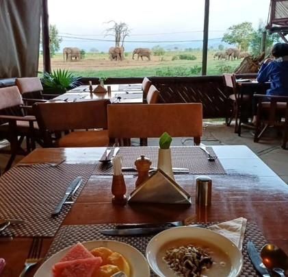 My Price Africa Adventure-蒙巴萨必去景点