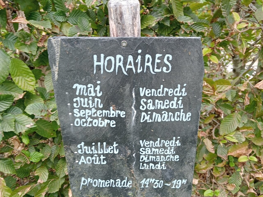 Jardin de Val Maubrune景点图片