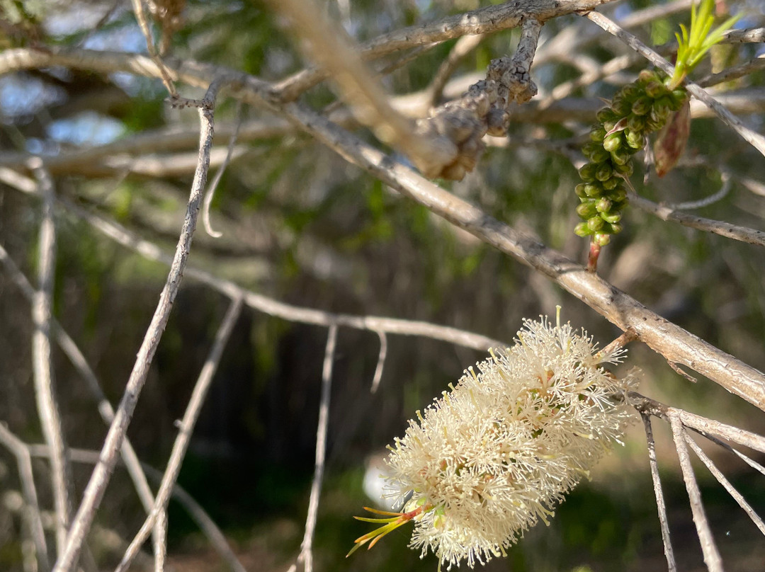 Wickham Court Playground-Heyfield必去景点