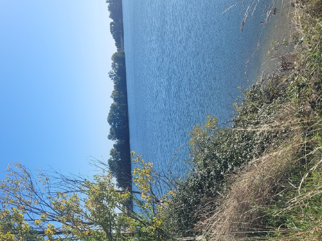 Sure Hotel by Best Western Bordeaux Lac主图