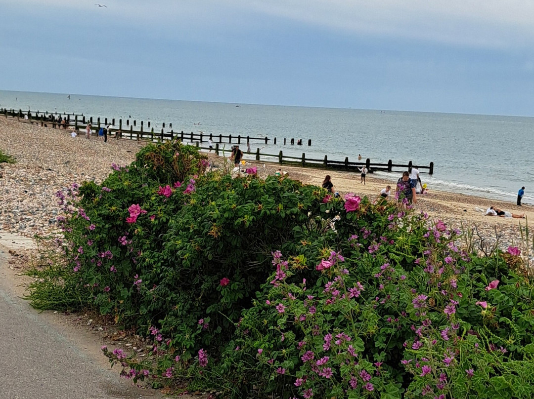 The Beach Littlehampton景点图片