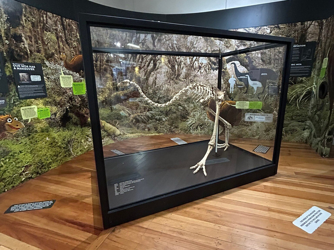 Taupo Museum景点图片