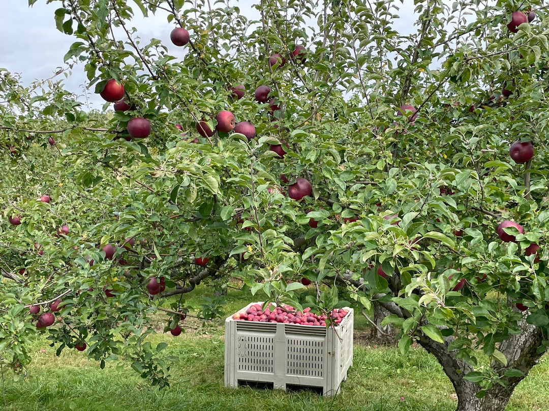 Club Wyndham Bentley Brook主图