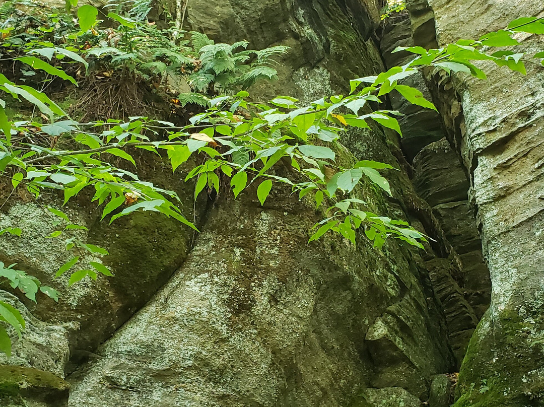 Panama Rocks Scenic Park-Panama必去景点