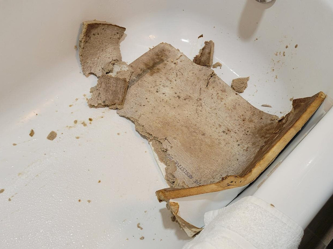 Crowne Plaza Kitchener-Waterloo by IHG主图