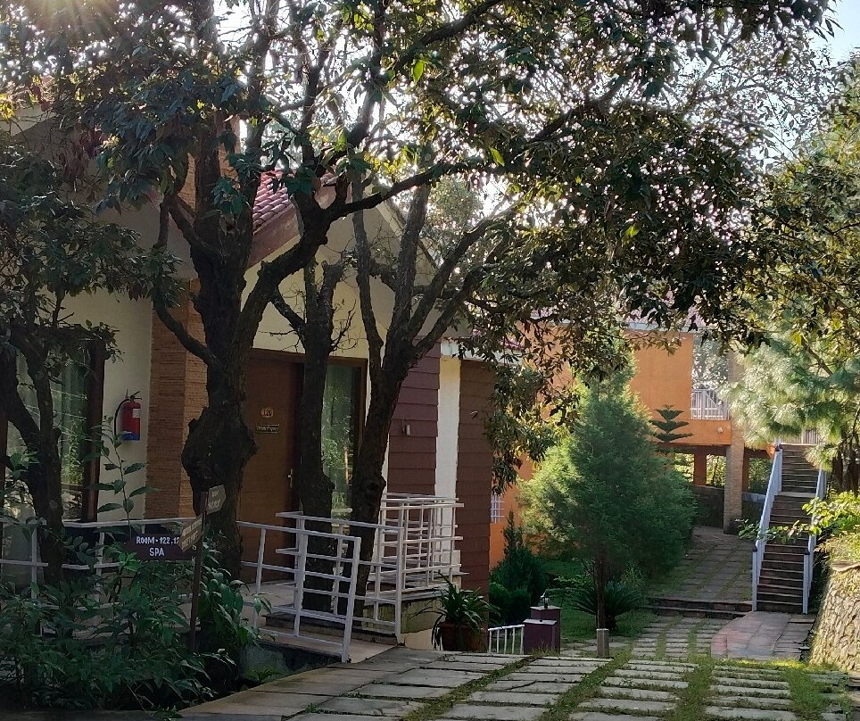 Essence of Nature主图