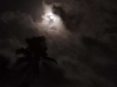 Velneshwar Beach-Velneshwar必去景点