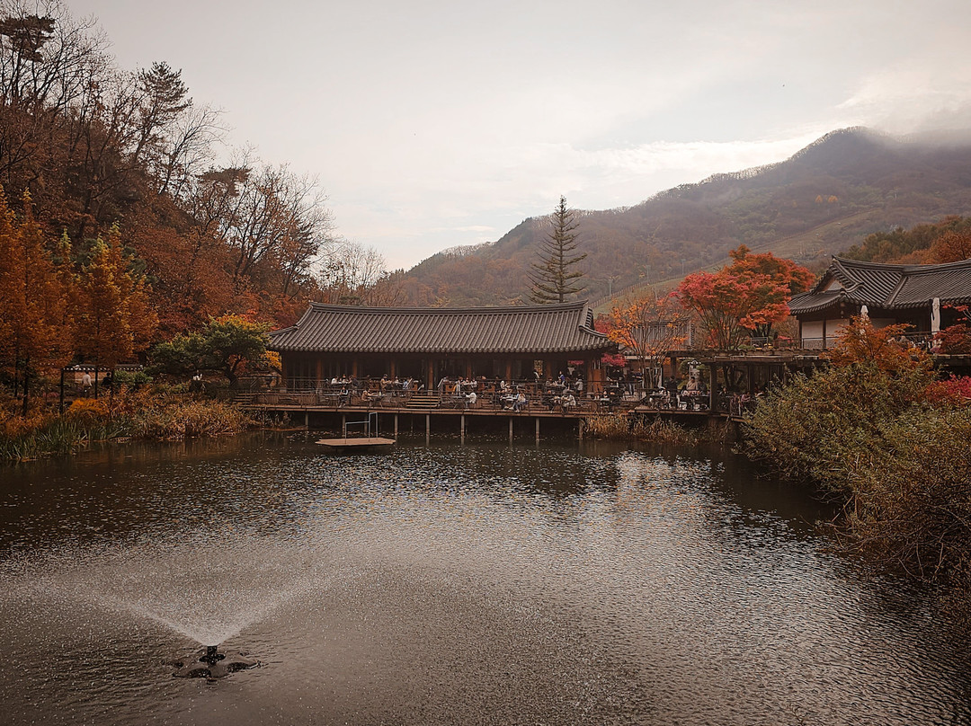 Hwadam Botanic Garden-光州市必去景点
