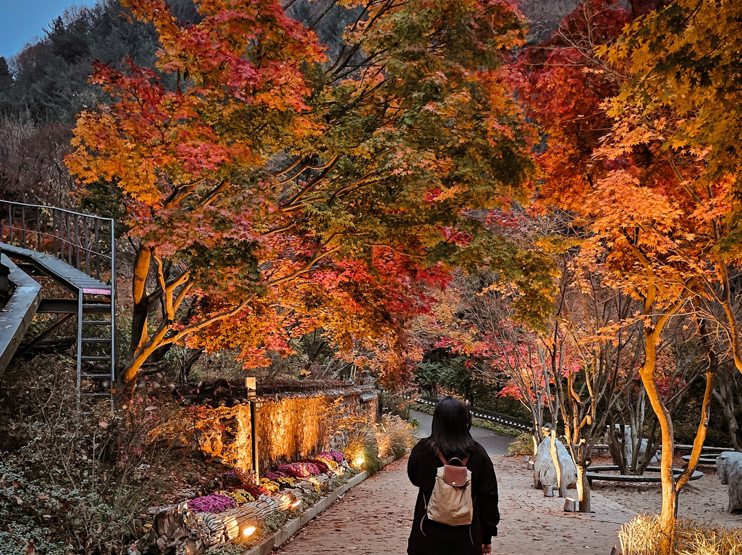 Hwadam Botanic Garden-光州市必去景点
