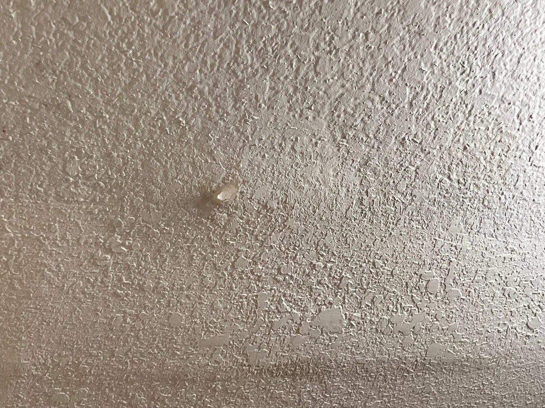 Clackamas Inn & Suites主图