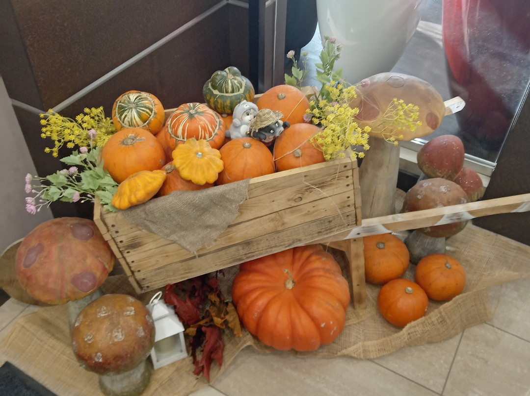 Irkutsk City Center主图