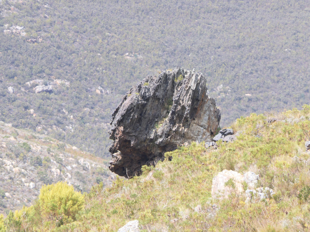 Mont Rochelle Nature Reserve-法兰舒克必去景点