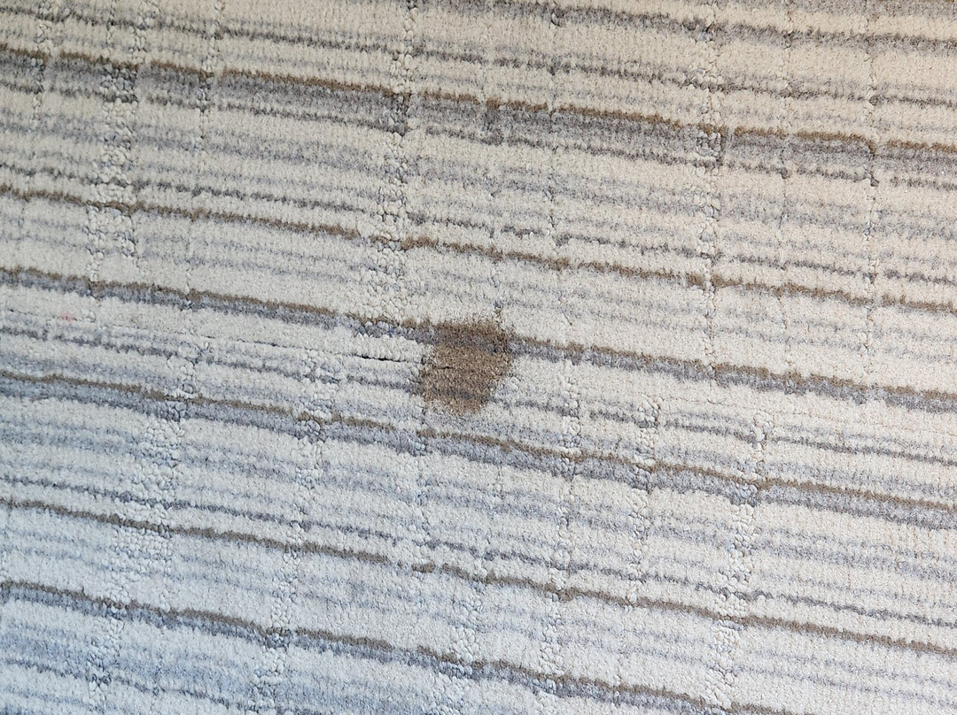 Holiday Inn Express & Suites Denton - Sanger By IHG主图