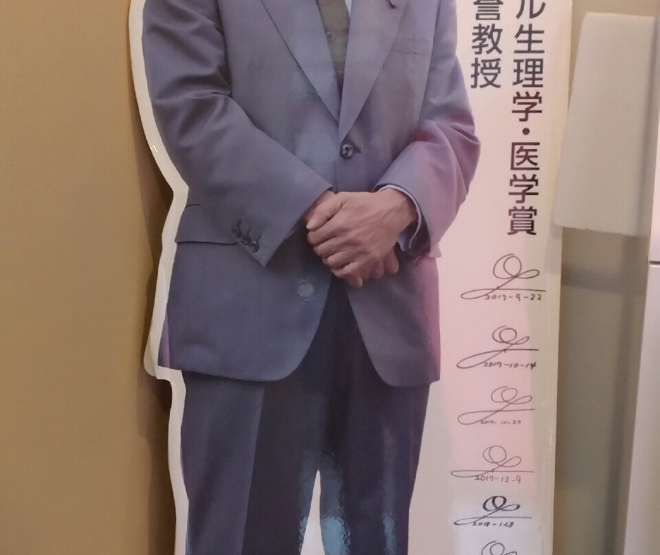 Nirasaki Omura Art Museum景点图片