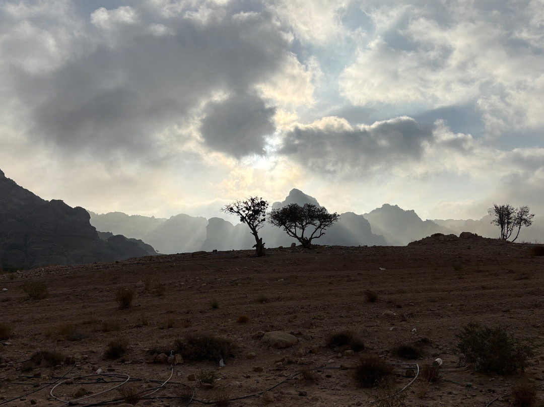 Dana Rose tours-Dana必去景点