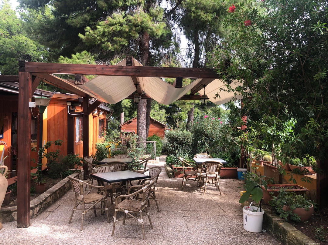 Centro Vacanze Villa Carla主图