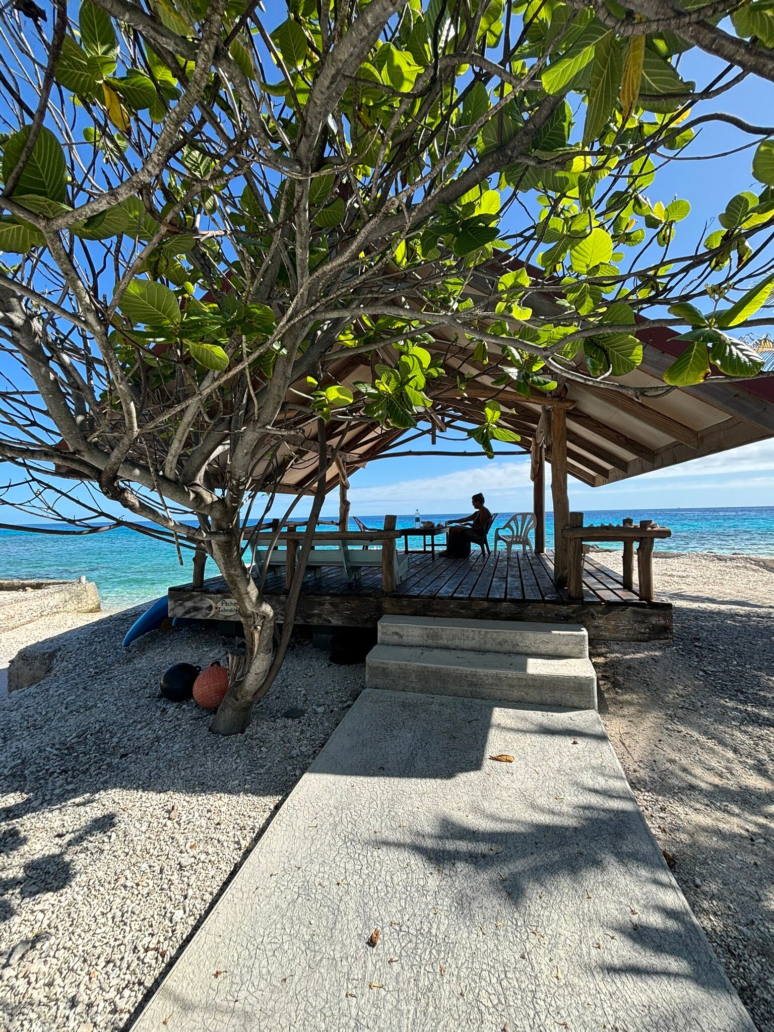 Pension Tapuheitini-官方
