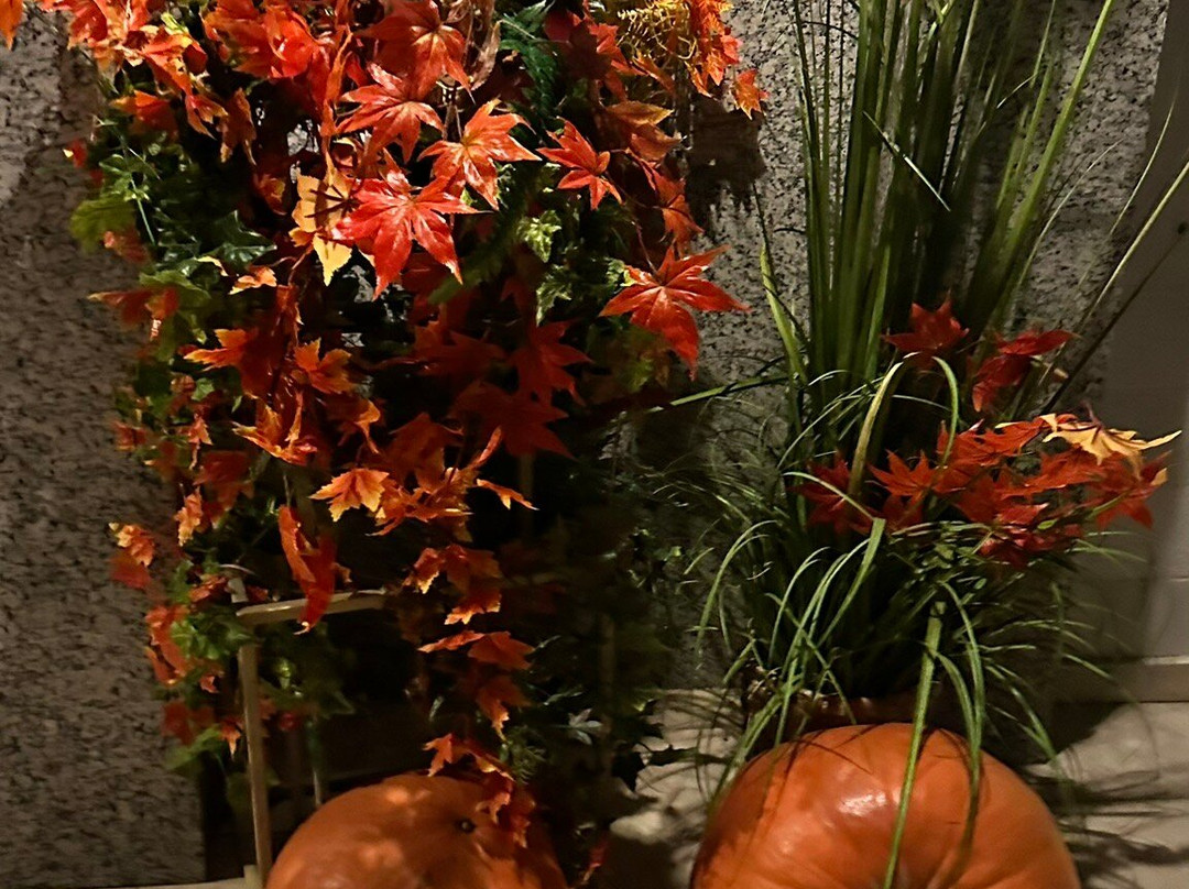 Diplomat Club Hotel主图