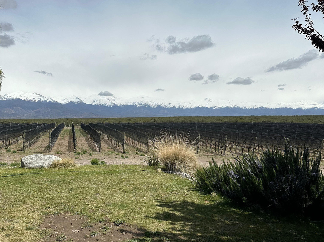 Zorzal Wines-Tupungato必去景点