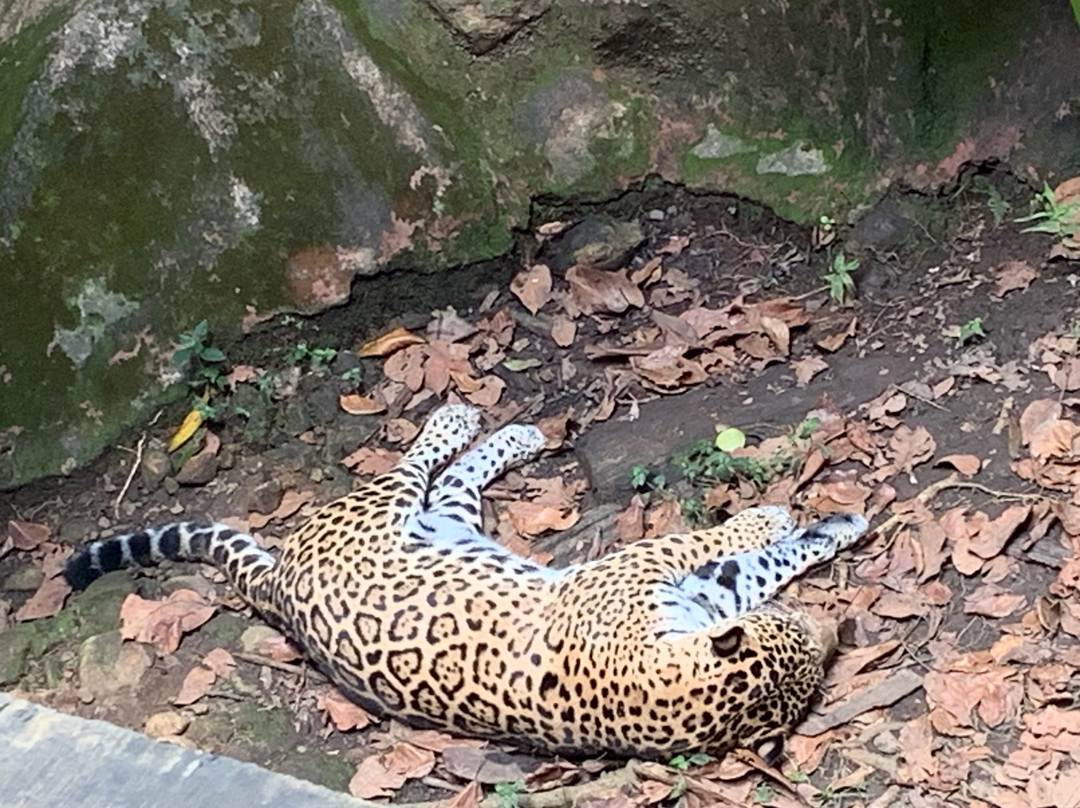 Route de la Traversee-Parc National必去景点