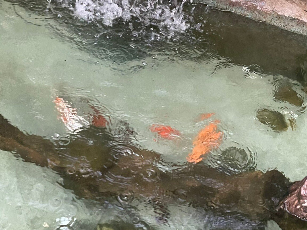 Pousada Aruans Casarão主图