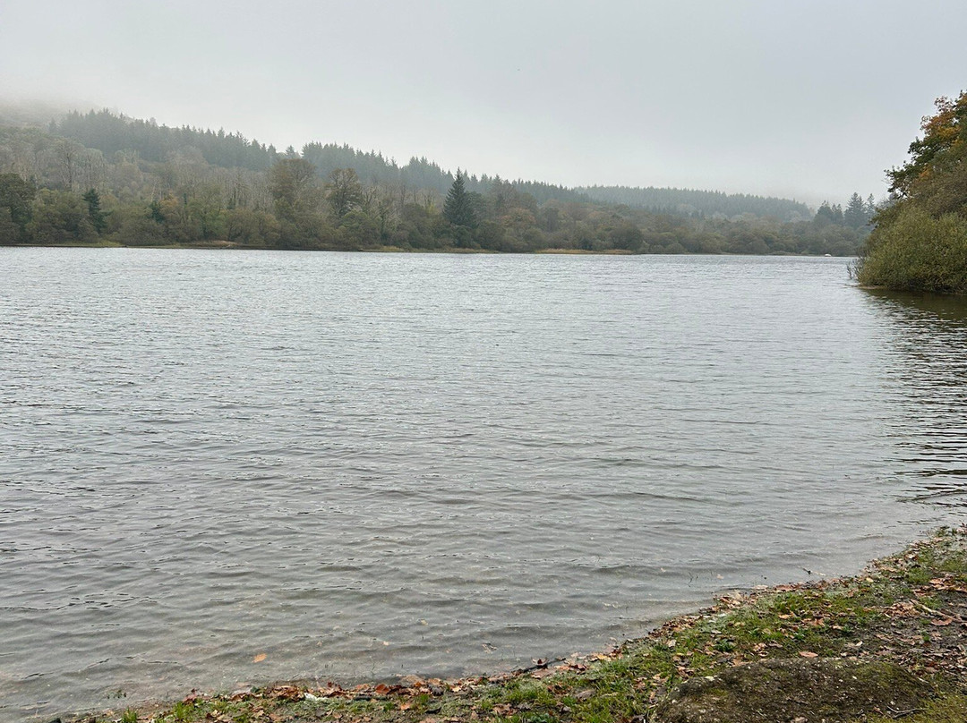 Burrator Reservoir景点图片