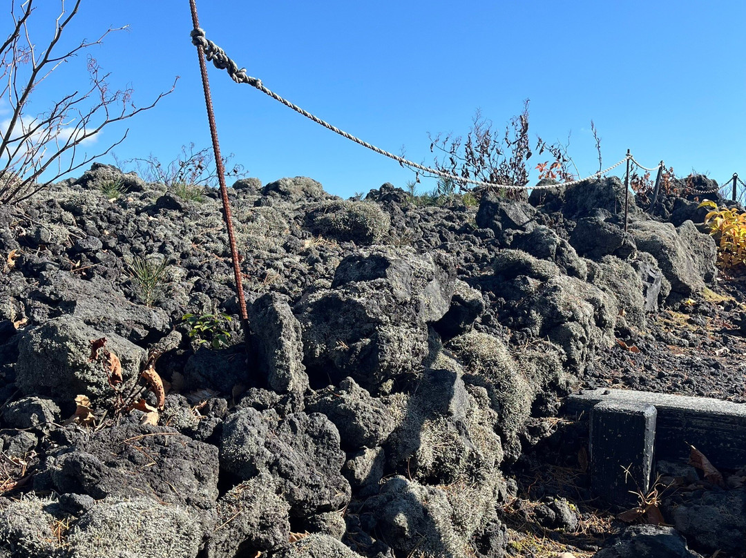 Mt. Iwate Yakehashiri Lava Flow-八幡平市必去景点