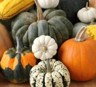 Pro Cordenons-Cordenons必去景点