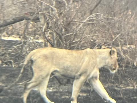 Legend Safaris-雾观必去景点