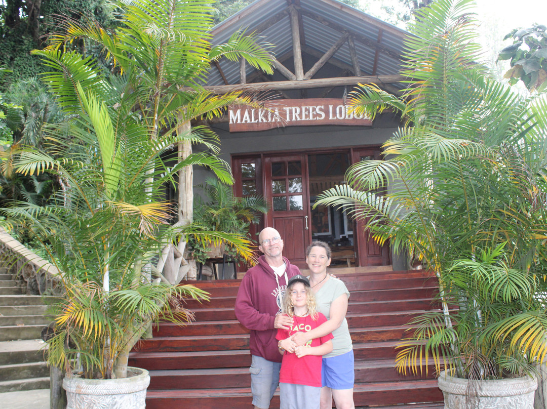Malkia Trees Lodge主图
