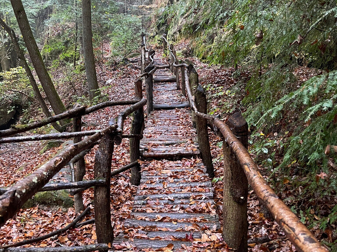 Dismals Canyon景点图片