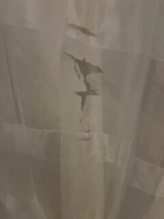 Holiday Inn Express & Suites Lansing-dimondale By IHG主图