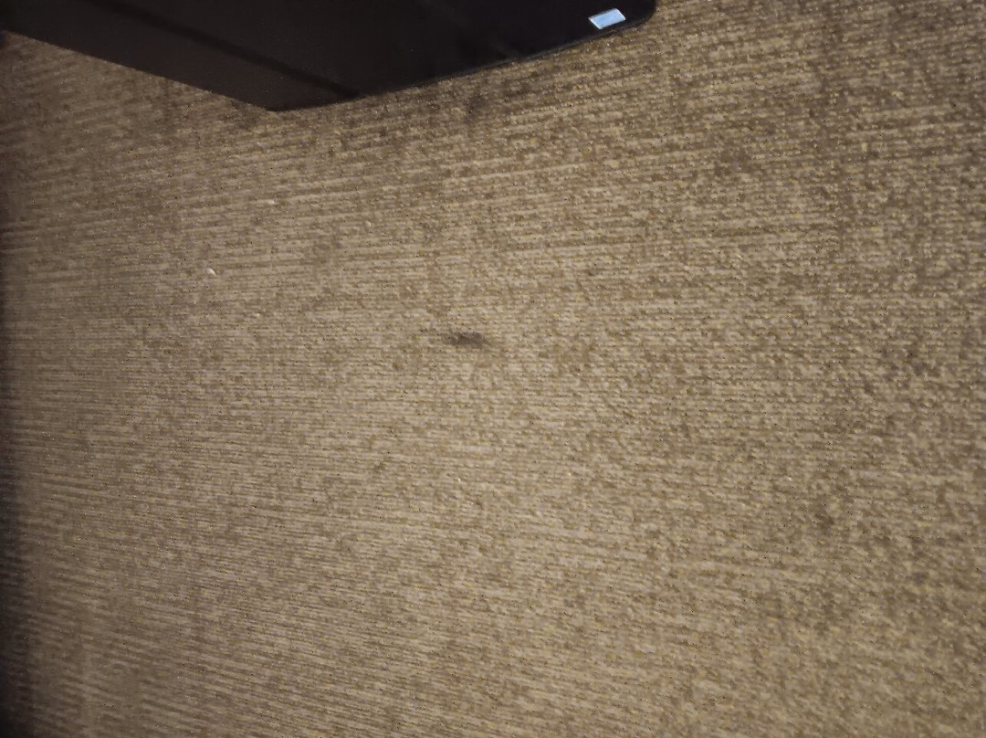 Comfort Inn Cambridge I-70主图