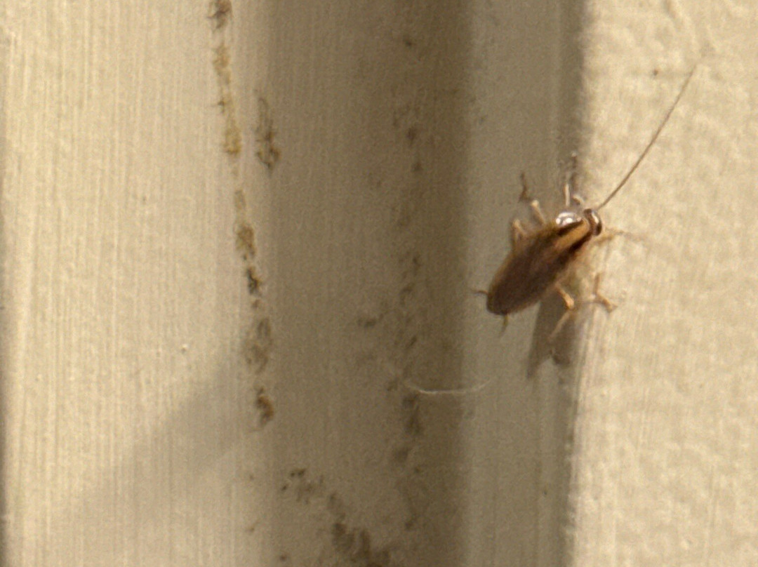 Quality Inn & Suites主图