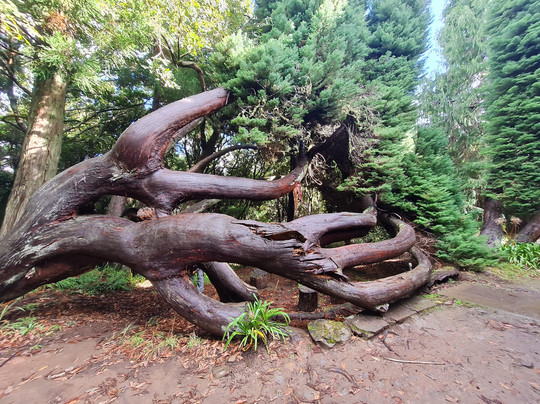 Just Madeira 4x4-沙尔必去景点