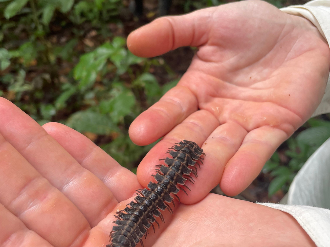 Jungle Jim Tours-伊基托斯必去景点