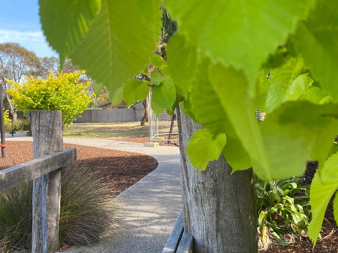 Jetty Road Adventure Playground-Clifton Springs必去景点